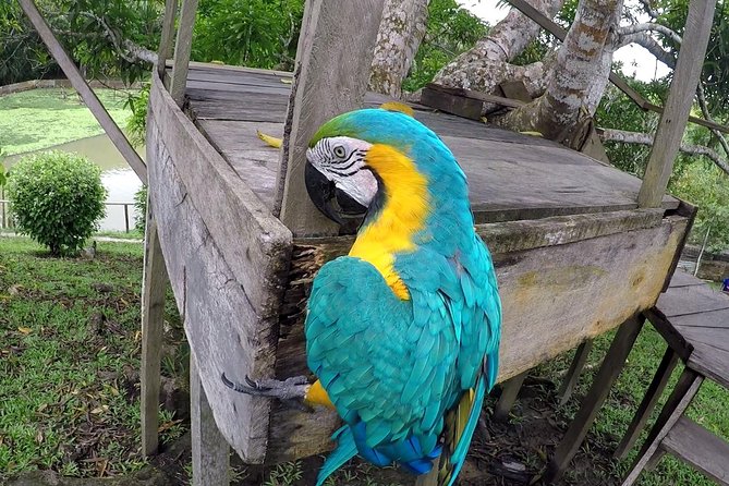 Native Aquatic Species, Jungle Hike & Animal Rescue Center -All Tickets Included - Health and Safety Information