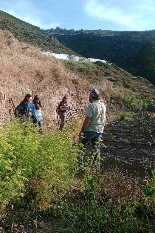 Native Vegetables Farm Tour & Organic Meal - Culinary Experience