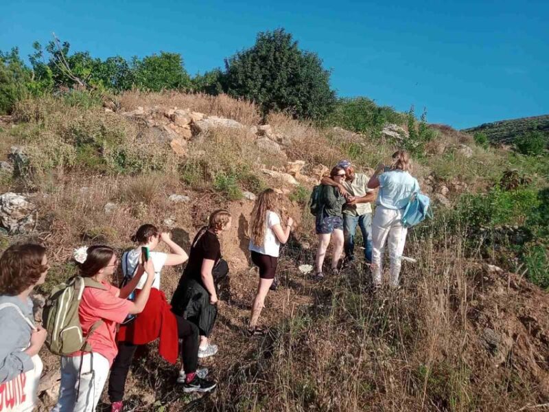 Native Vegetables Farm Tour & Organic Meal - Scenic Landscape and Sustainability