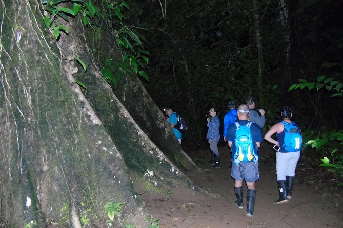 Nativos Corcovado Night Hike in DrakeBay - Hotel Transfers and Pickup
