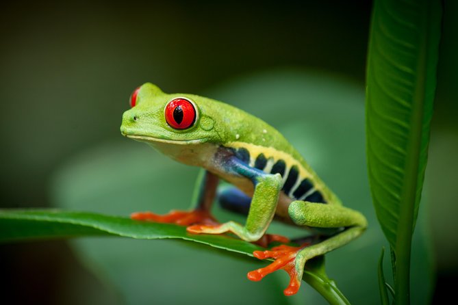 Natura Eco Park Admission - Exhibits and Wildlife Encounters