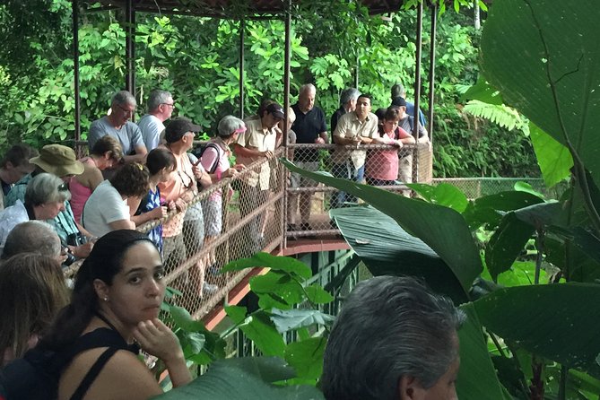 Natura Eco Park Costa Rica - Plus Admission, Wildlife Sanctuary - Visitor Ratings and Reviews