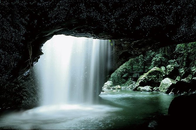 Natural Bridge Glow Worm Night Tour From Gold Coast - Tour Details