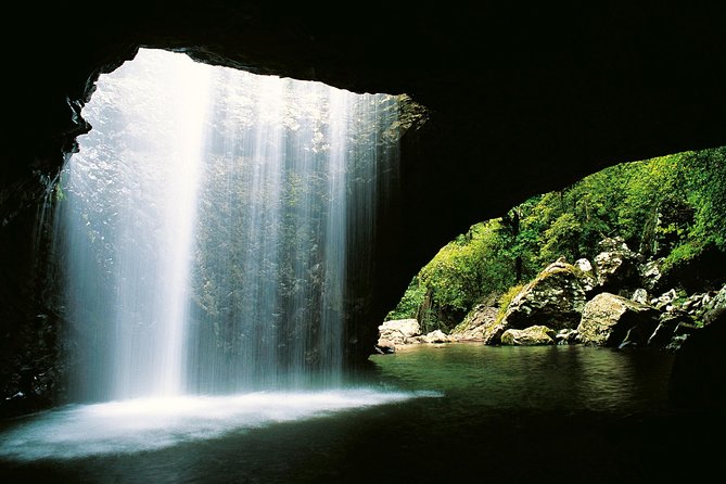 Natural Bridge & Springbrook Waterfalls Tour - Rainbow Falls Viewpoint