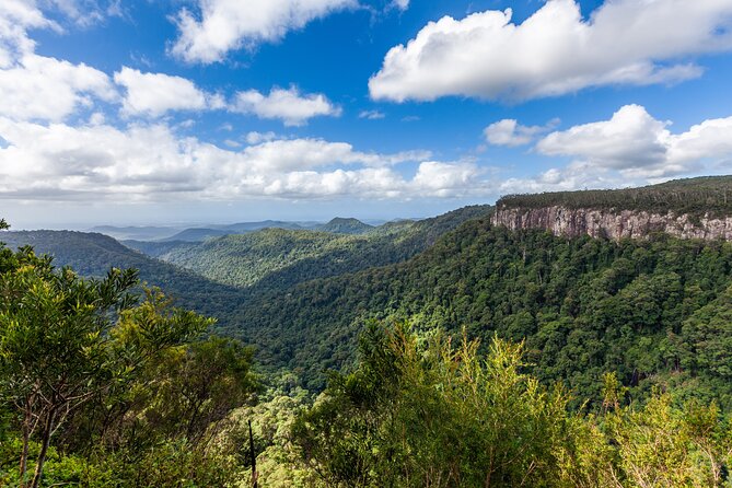 Natural Bridge & Springbrook Waterfalls Tour - Policies and Confirmation