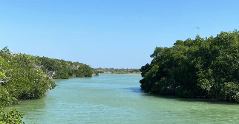 Natural Experience Rio Lagartos and Las Coloradas. - Key Points