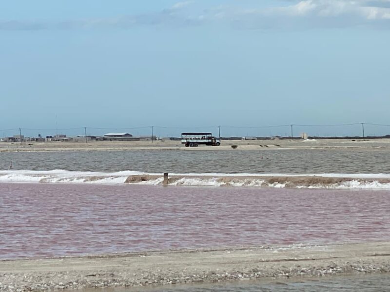 Natural Experience Rio Lagartos and Las Coloradas. - Tour Inclusions
