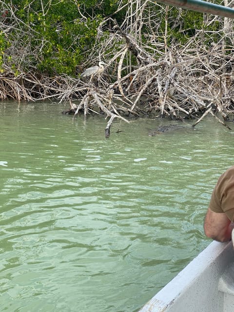 Natural Experience Rio Lagartos and Las Coloradas. - Tour Exclusions