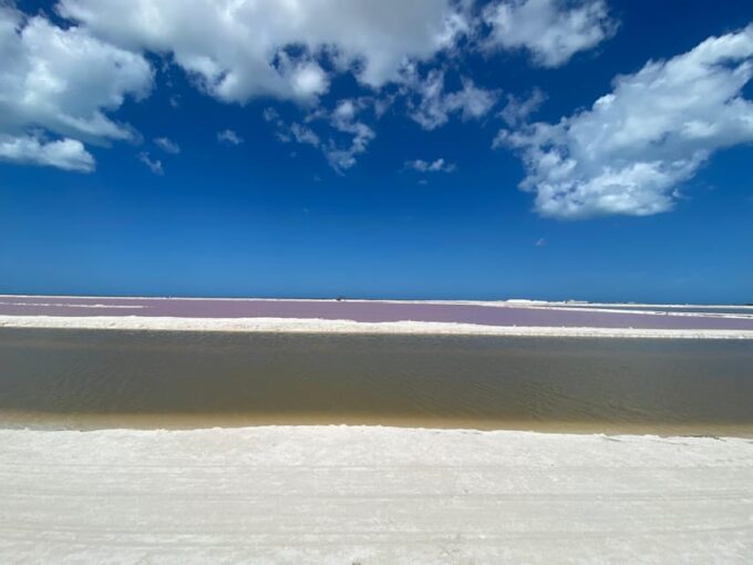 Natural Experience Rio Lagartos and Las Coloradas. - Customer Feedback