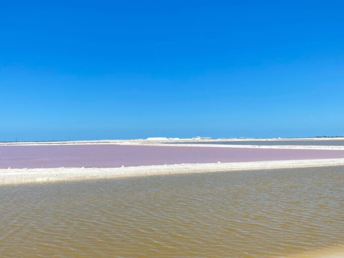 Natural Experience Rio Lagartos and Las Coloradas. - Explore Rio Lagartos Biosphere