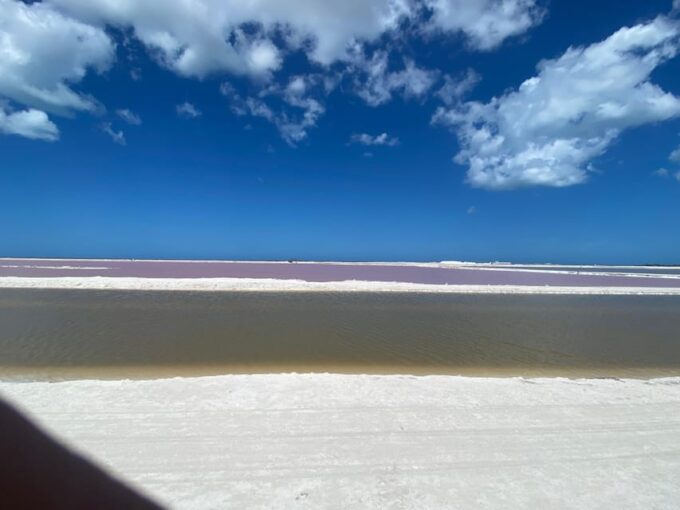 Natural Experience Rio Lagartos and Las Coloradas. - Frequently Asked Questions