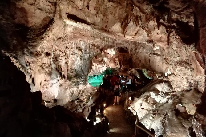 Natural Heritage, Caves, Water Springs and Salt Pans From Nazaré - Experiencing Nature at Pia Do Urso Eco-Park