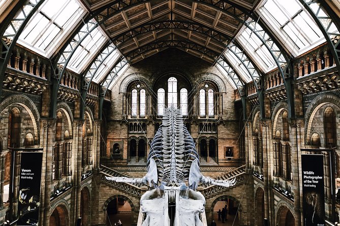 Natural History Museum London - Private Guided Museum Tour - Meeting and Pickup