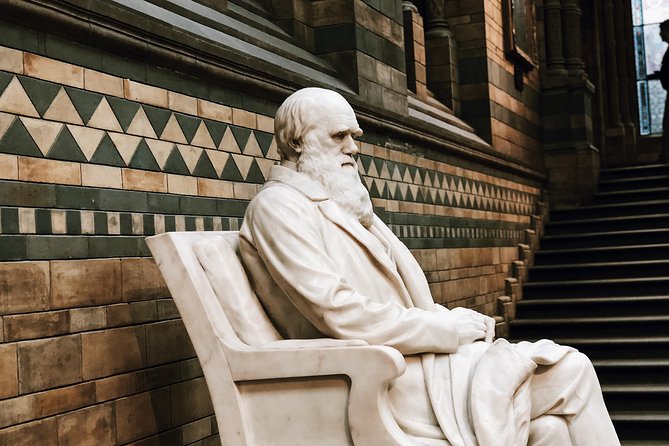 Natural History Museum London - Private Guided Museum Tour - Accessibility and Restrictions