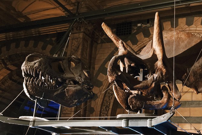 Natural History Museum London - Private Guided Museum Tour - Collections and Exhibits
