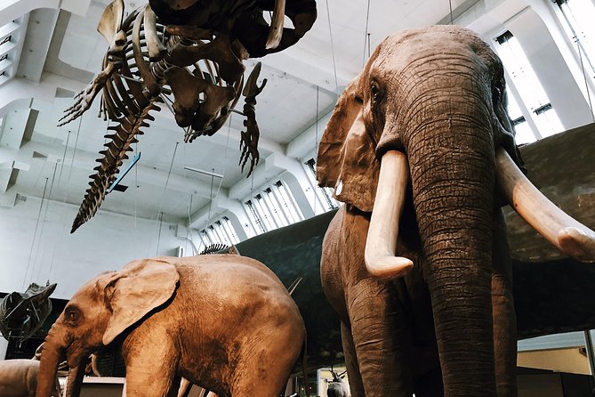 Natural History Museum London - Private Guided Museum Tour - Booking Confirmation