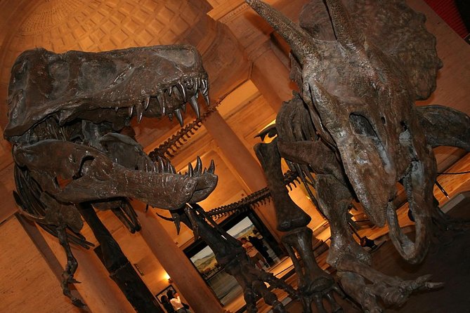 Natural History Museum of Los Angeles County Admission - Key Points