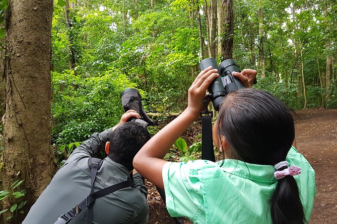 Natural History Walk - Key Points
