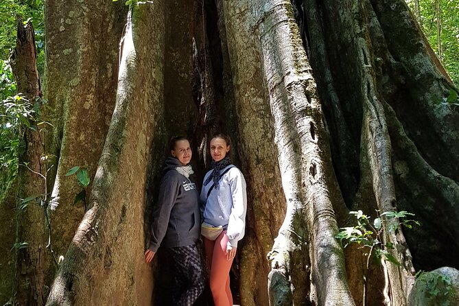 Natural History Walk - Tour Highlights and Inclusions
