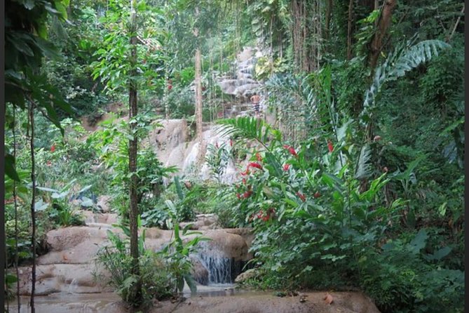 Natural Mystic - Tour Overview