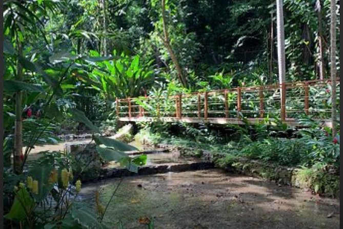 Natural Mystic - Inclusions and Amenities