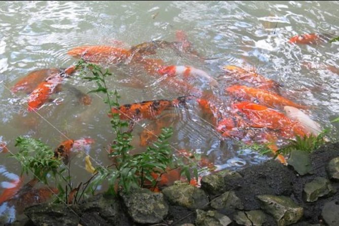 Natural Mystic - Plan Your Visit