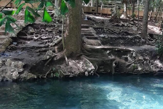 Natural Park Khao Yai With Mr Nong - Overview of the Tour