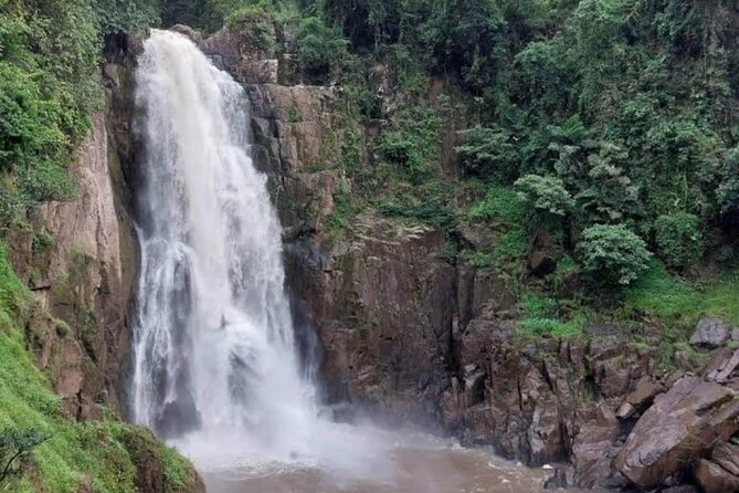 Natural Park Khao Yai With Mr Nong - Wildlife Highlights