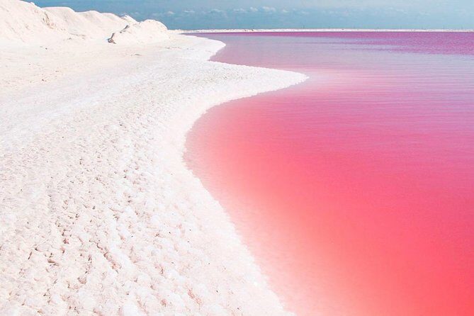 Natural Pink Lake Tour Las Coloradas only from Playa del Carmen - The Itinerary in Detail