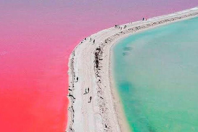 Natural Pink Lake Tour Las Coloradas only from Playa del Carmen - Authentic Experiences and Traveler Feedback