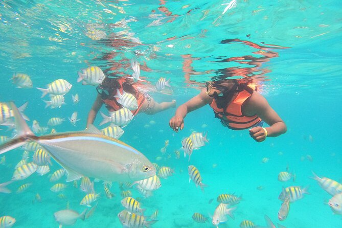 Natural Pool Speedboat and Snorkeling Experience - Health and Safety Considerations
