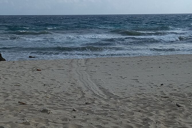 Natural Pool Sunrise Walk and Swimming, Avoid the Crowds - Tour Details and Inclusions