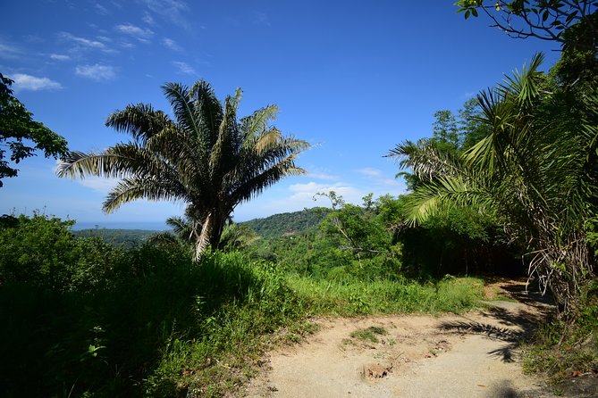 Natural Pools of Trompito and Rio Mar Viewpoint - Cancellation Policy