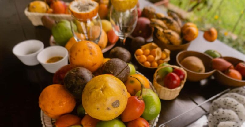 Natural Reserve Barbas Bremen: Tropical Fruit Tasting - What to Bring and Expect