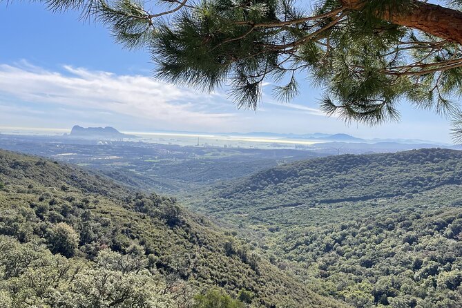 Natural Reserve on Electric Mountain Bike With Guide - Inclusions for the Tour