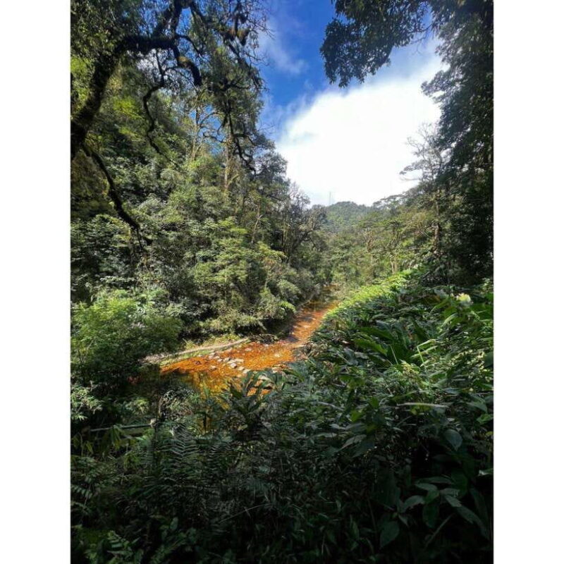 Natural. the 1D Fansipan Peak .Hmongsisterhouse&Trekking - Highlights