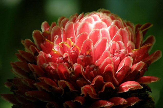Natural Wonders of Barbados Small-Group or Private Tour With Harrisons Cave - Bathsheba Beach