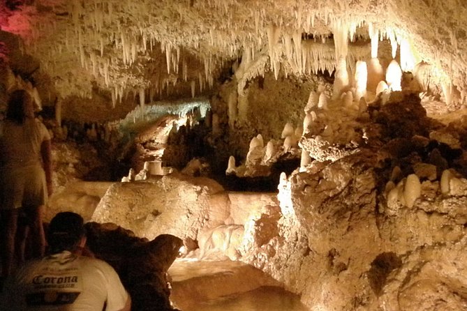 Natural Wonders of Barbados Small-Group or Private Tour With Harrisons Cave - Inclusions and Logistics
