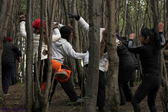 Naturaldanza Dance in Nature - Inclusive for All Participants