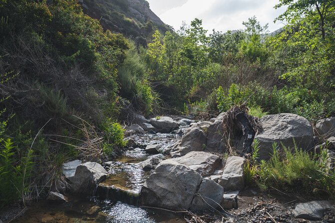 Nature Adventure With Private Transport to Waterfall and More! - Trekking and Photography