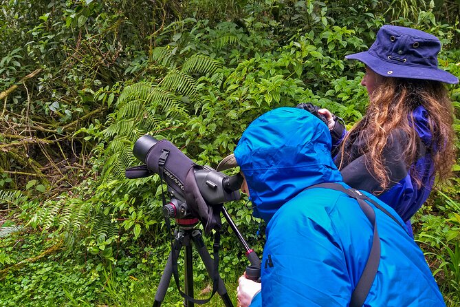 Nature and Birding Experience in Yanachocha Reserve - Reserve Overview