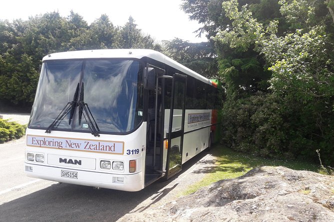 Nature and City Tour - Scenic Highlights