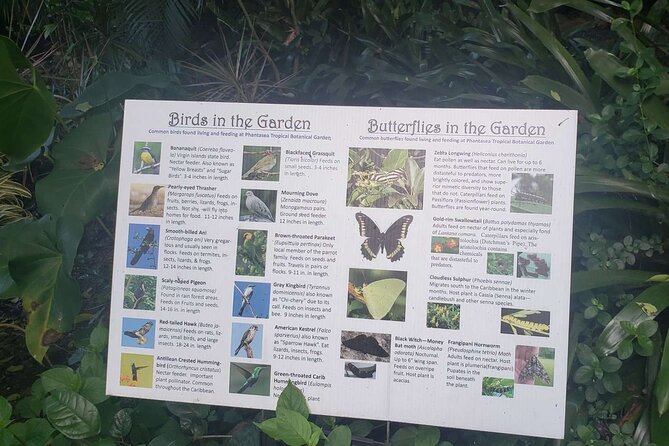 Nature and Sightseeing Tour at Phantasea Tropical Botanical Garden - Meeting and Pickup