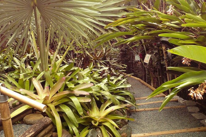 Nature and Sightseeing Tour at Phantasea Tropical Botanical Garden - Tour Conditions