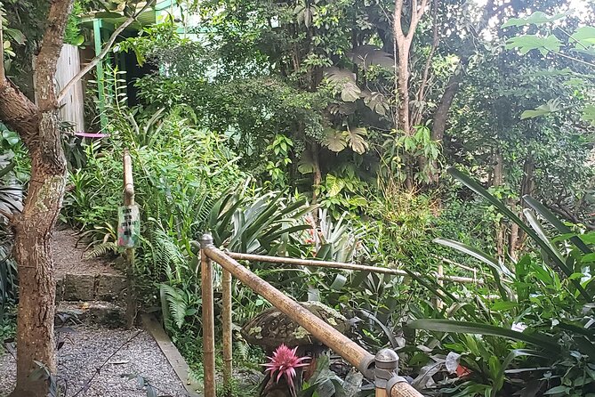 Nature and Sightseeing Tour at Phantasea Tropical Botanical Garden - Customer Feedback
