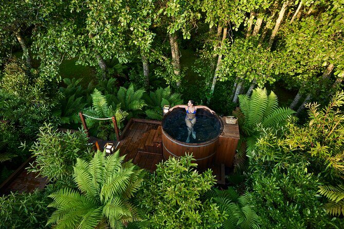 Nature at its best Lake Tarawera Treetop Walk and Forest Spas - Key Points