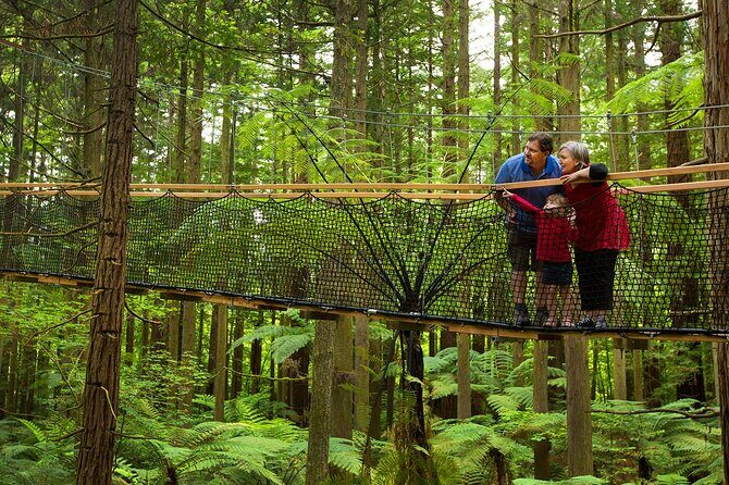 Nature at its best Lake Tarawera Treetop Walk and Forest Spas - Why This Tour Works Well for Travelers