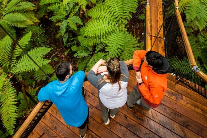 Nature at its best Lake Tarawera Treetop Walk and Forest Spas - Analyzing the Value