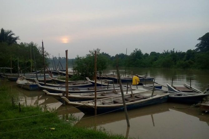 Nature At The Riverbank, Fireflies Watching By Row Boat (Guided) - Good To Know