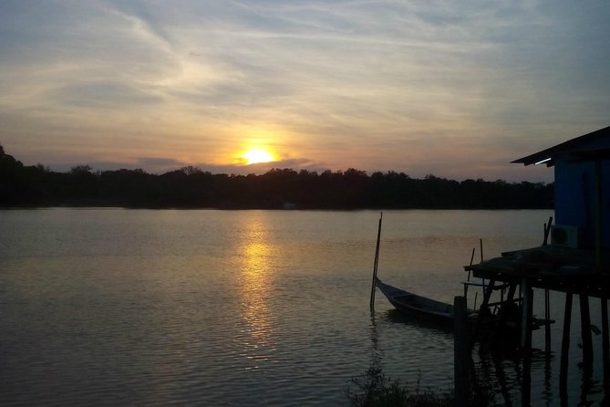 Nature At The Riverbank, Fireflies Watching By Row Boat (Guided) - Tour Inclusions and Highlights